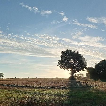 Au Mont & Merveilles Sartilly-Baie-Bocage Eksteriør bilde