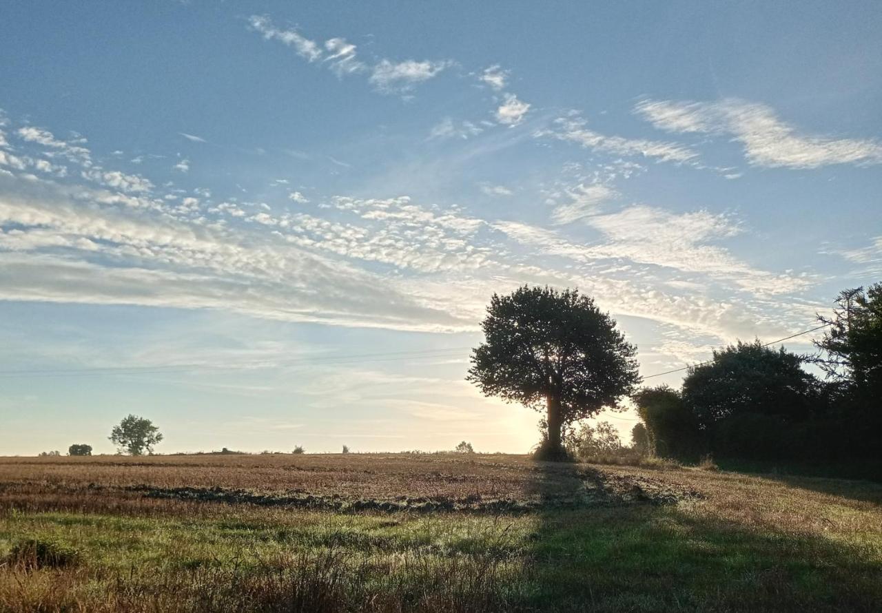 Au Mont & Merveilles Sartilly-Baie-Bocage Eksteriør bilde